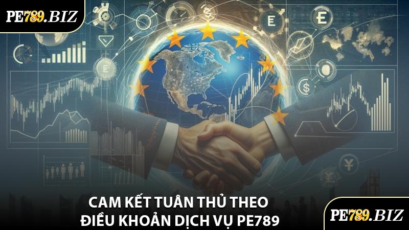 Cam Kết Tuân Thủ Theo Điều Khoản Dịch Vụ PE789