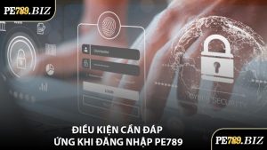 Điều Kiện Cần Đáp Ứng Khi Đăng Nhập PE789