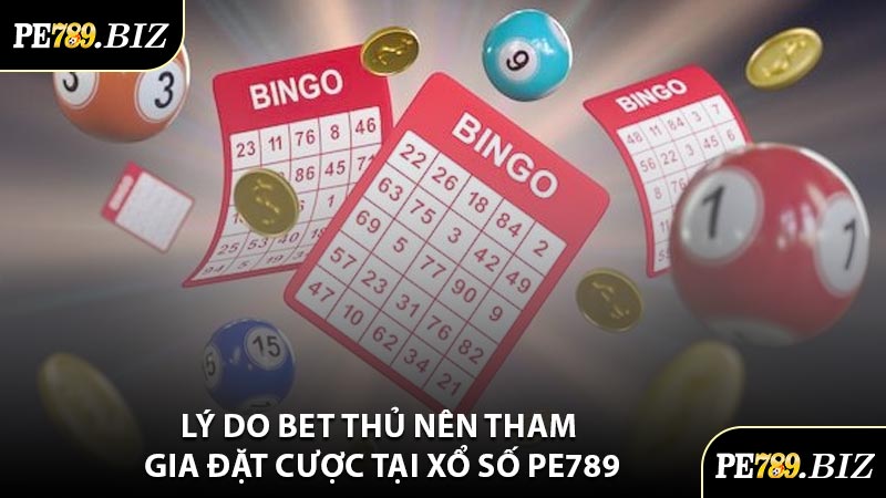 Lý Do Bet Thủ Nên Tham Gia Đặt Cược Tại Xổ Số PE789