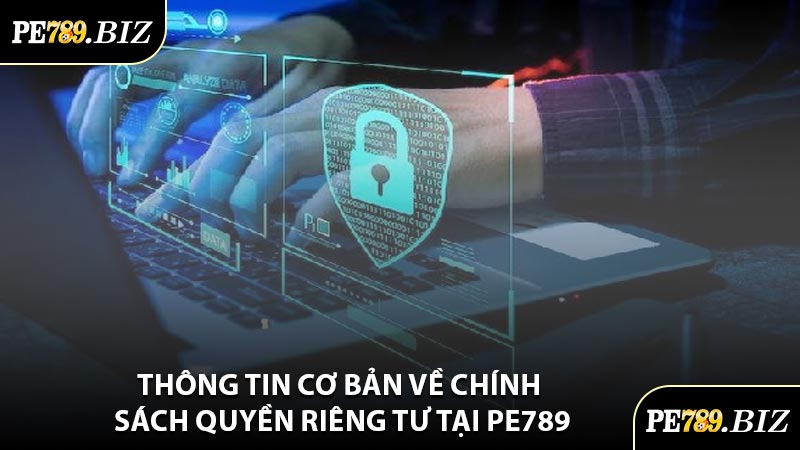 Thông Tin Cơ Bản Về Chính Sách Quyền Riêng Tư Tại PE789