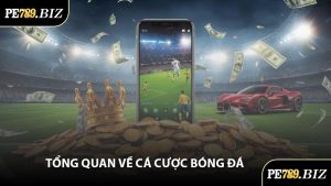 Tổng Quan Về Cá Cược Bóng Đá